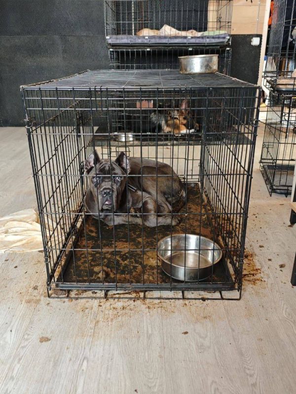 ������� ������������ ���������� ��� ����� ������������ �� �������� ��������� � ���������