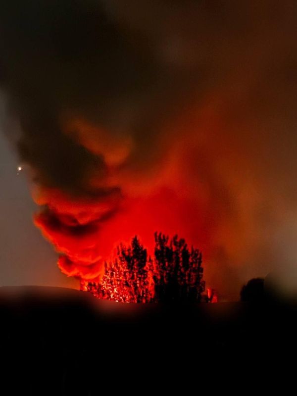 ����� ��������: �������� ���� �������� � ���������������