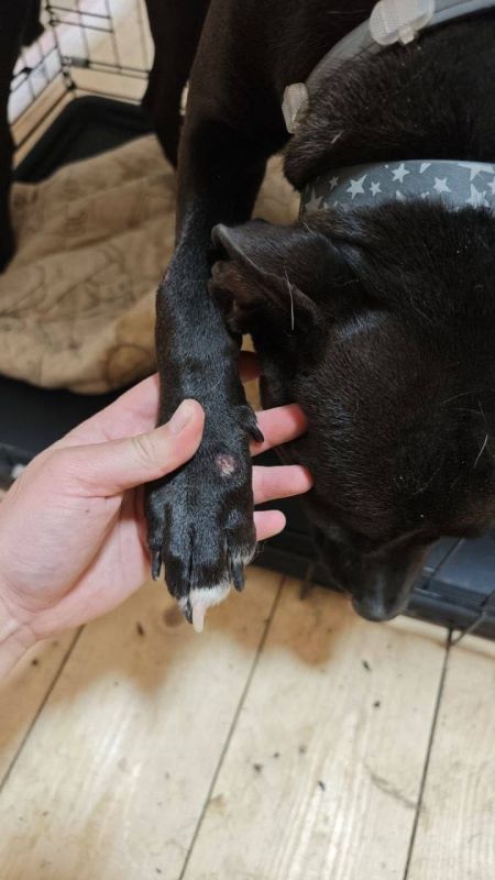 ������� ������������ ���������� ��� ����� ������������ �� �������� ��������� � ���������