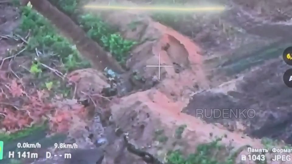 ������ �������: �������������� ����������� ����� ������� ���������� ����������� ������������ ���� ������� � ���������������� �������