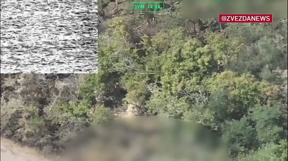 "Восток" продвигается вперед, и вставать на его пути не стоит — новые кадры из Днепропетровской области