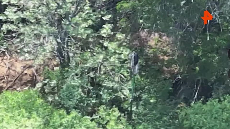 Российские артиллеристы уничтожили пункты управления БПЛА и блиндажи ВСУ в Днепропетровской области