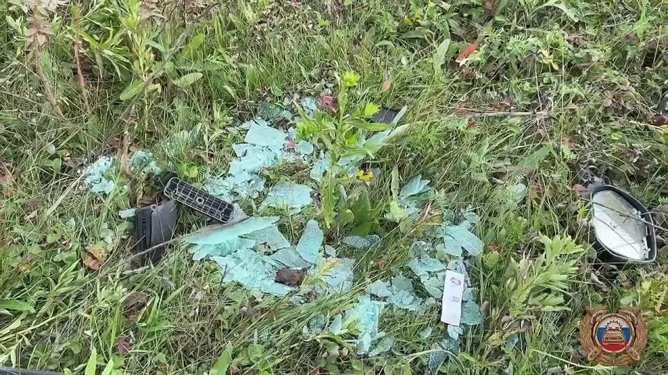 � ��������� ����������� ����������� � ��������������� ������������ ���