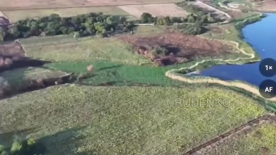 ������ �������: �������������� ����������� ����� ������� ���������� ����������� ������������ ����������� ������ �������������� � ���������������� �������