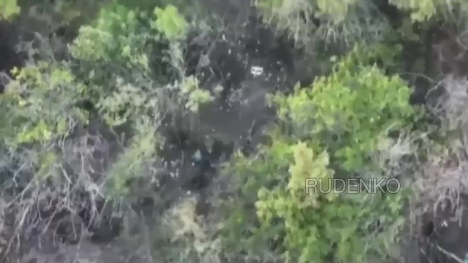 ������ �������: ����� ��������� �������������� � �������� ����������� FPV-������ ����������� ����� ������ � ������� ������ ��� � ����������� �������