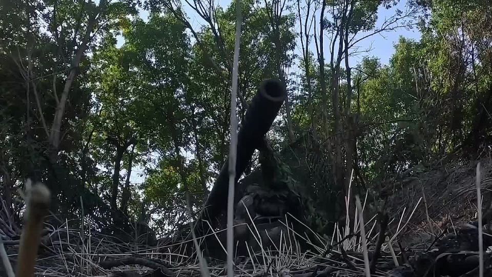 Российские дроноводы уничтожили личный состав и орудие украинских боевиков в Херсонской области