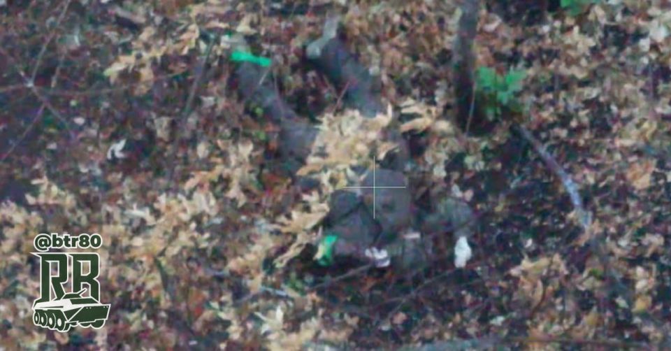 ���������� ������ ������������ ����������: ���������� ��� ���������������� �������� ������� ���