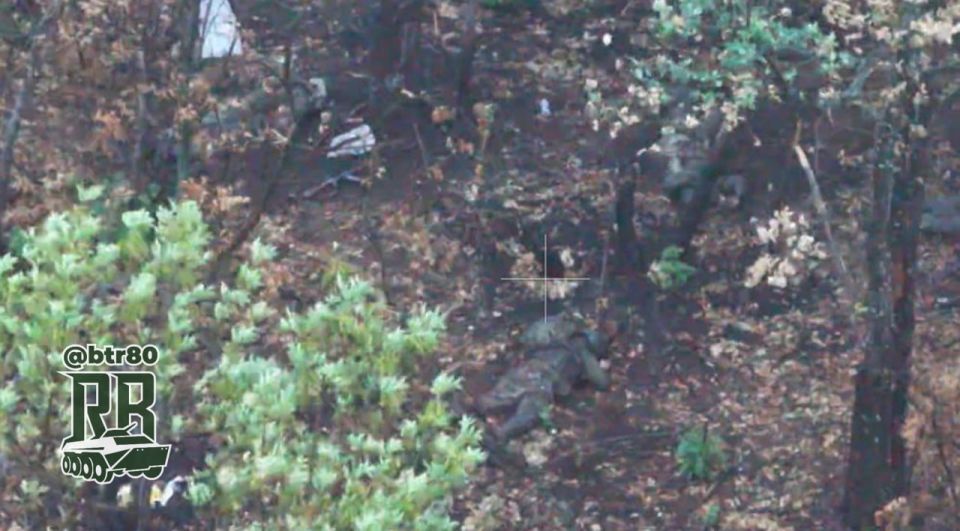 ���������� ������ ������������ ����������: ���������� ��� ���������������� �������� ������� ���