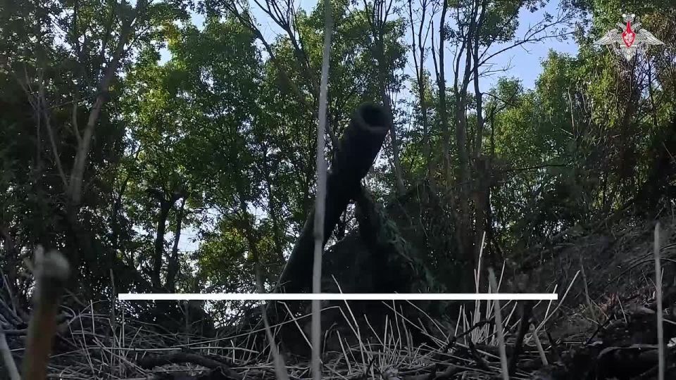 ���������� ������: � ���������� ������� �������� � ������� ���� ���������� �������������� ������ ����������, ��������������� � ���������� �� ������ ������ ������