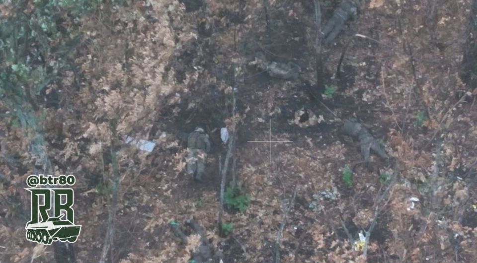 Российские войска перемалывают противника: Лесополосы под Днепропетровском завалены трупами ВСУ Российские войска перемалывают противника: Лесополосы под Днепропетровском завалены трупами ВСУ