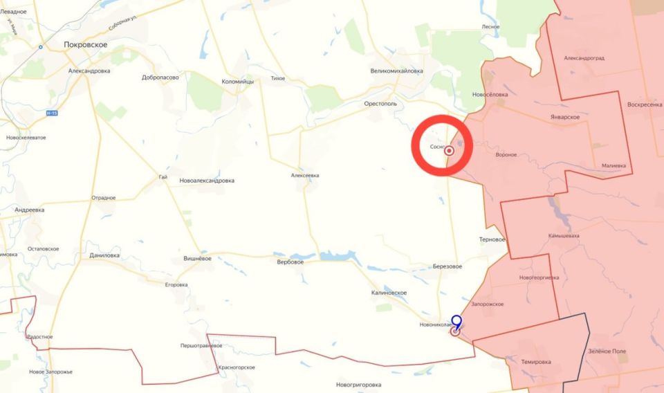 Российские войска освободили населённый пункт Сосновка в Днепропетровской области, сообщает Минобороны РФ