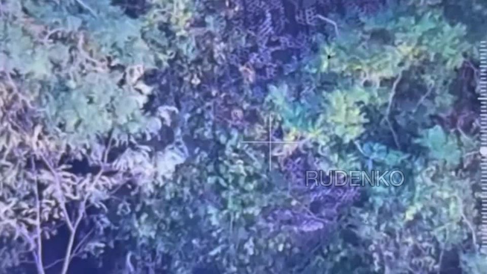 ������ �������: ��������� ���� ����������� ����� ������� ���������� ���� ��� � ���������������� �������