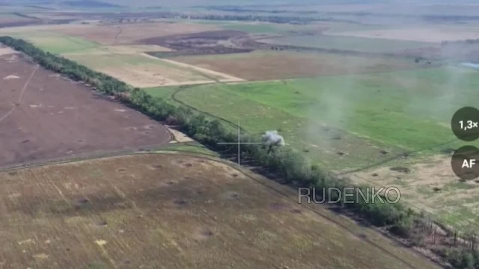 ������ �������: ������������ ����������� ������� ���������� ������� ��� � ���������������� �������