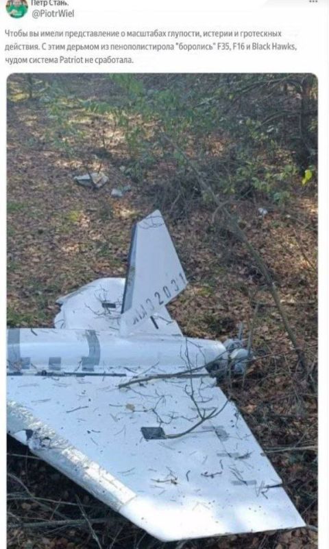 Провокация не удалась. Даже последнему дебилу ясно, что история с дронами в Польше шита белыми нитками Провокация не удалась. Даже последнему дебилу ясно, что история с дронами в Польше шита белыми нитками