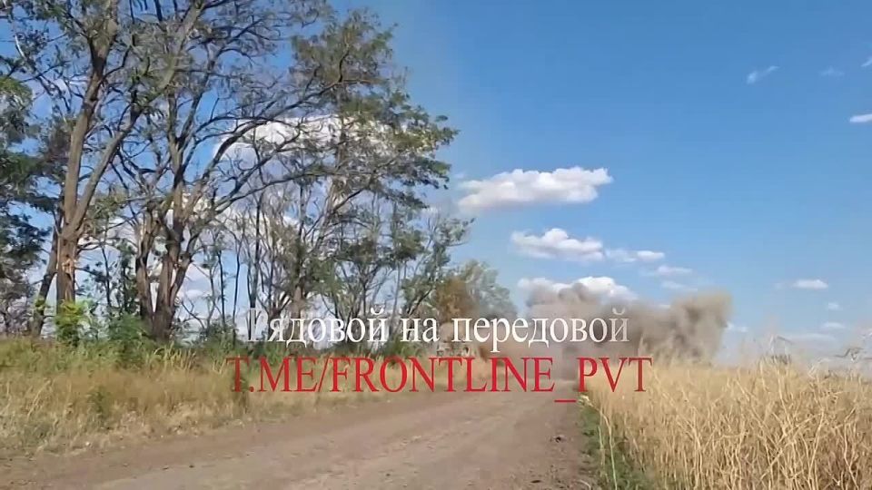 Южно-Днепропетровское направление: продвижение в Березовом и освобождение Новониколаевки