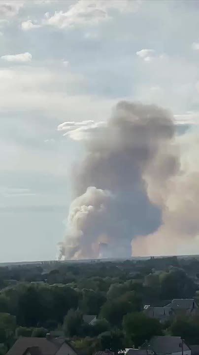 После обеда загорелся лес в Обуховке