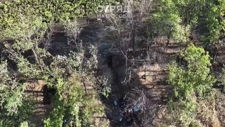 ������� � ���������� ������� � ���������� � ���� � ��������������!