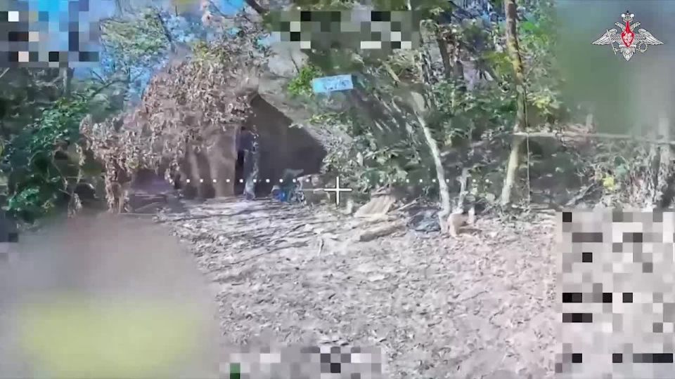 ���������� ������: ������ ������ ����� ����������