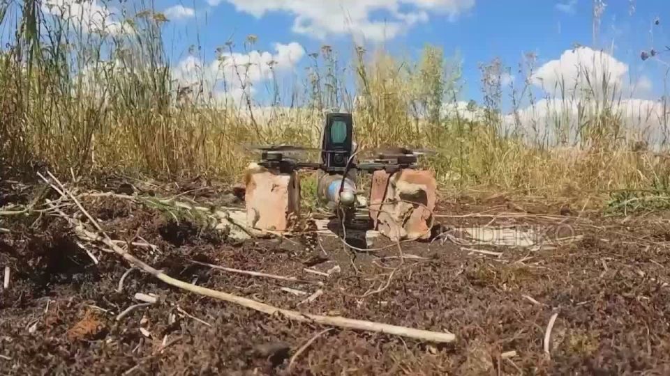 ������ �������: ������� ������� ���� ����������� ������� ���������� ������������ ���������� � ���������������� �������