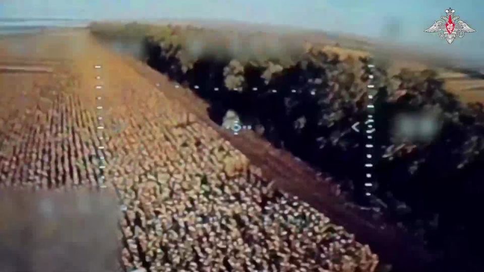 ���������� ������: ���� ��������� �� ���� ���������� ������������