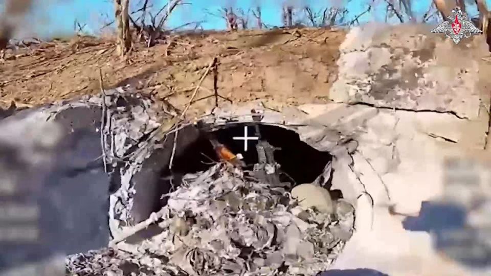 ���� �������: �������� ������, ������ �������� ����������� ���� �� ����������������, ����������, ����������� ������������