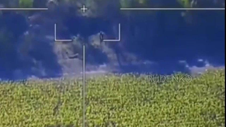 ������ �������: �������������� ����������� ����� ������� ���������� ������������ ������� �198 ��� � ���������������� �������