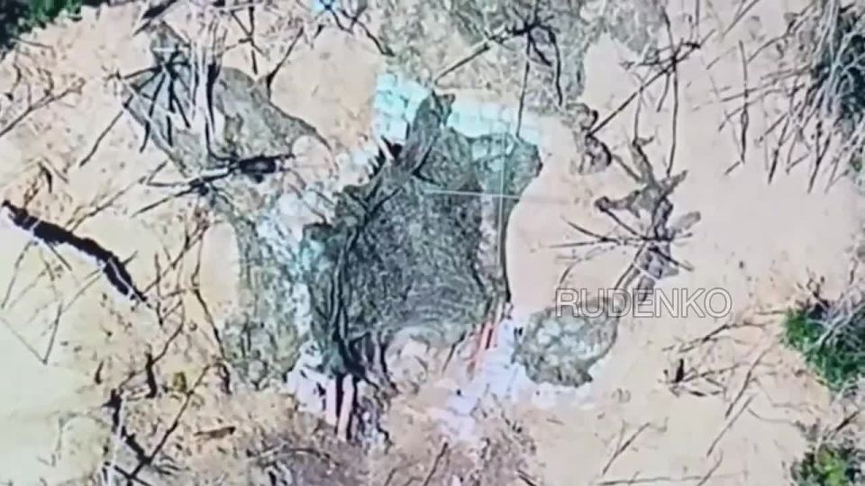 ������ �������: ������� ���� 49 ������������� ����� ���������� � ���������� ������������ ����������� ������� �777 ������ � ������ �������� ��� � ���������� ������� �� ������ ������ ������