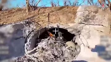 Юрий Котенок: Подборка кадров, снятых русскими операторами БПЛА на Днепропетровском, Покровском, Запорожском направлениях