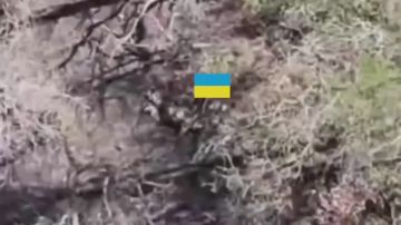 Подробности освобождения н.п Новопетровское в Днепропетровской области публикует журналист Александр Коц