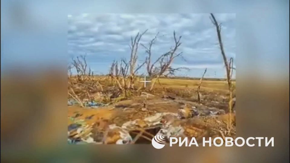 Подразделения ударных БПЛА 42-й гвардейской дивизии группировки войск "Днепр" уничтожили позиции украинских боевиков и грузовик с боеприпасами в районе населенного пункта Работино в Запорожской области, рассказал РИА Новости...