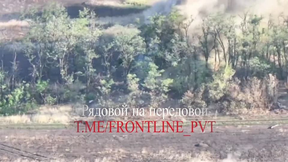 ����� ������������� ����� ������ �� �������� ��� �� ���������� ���������������� �������