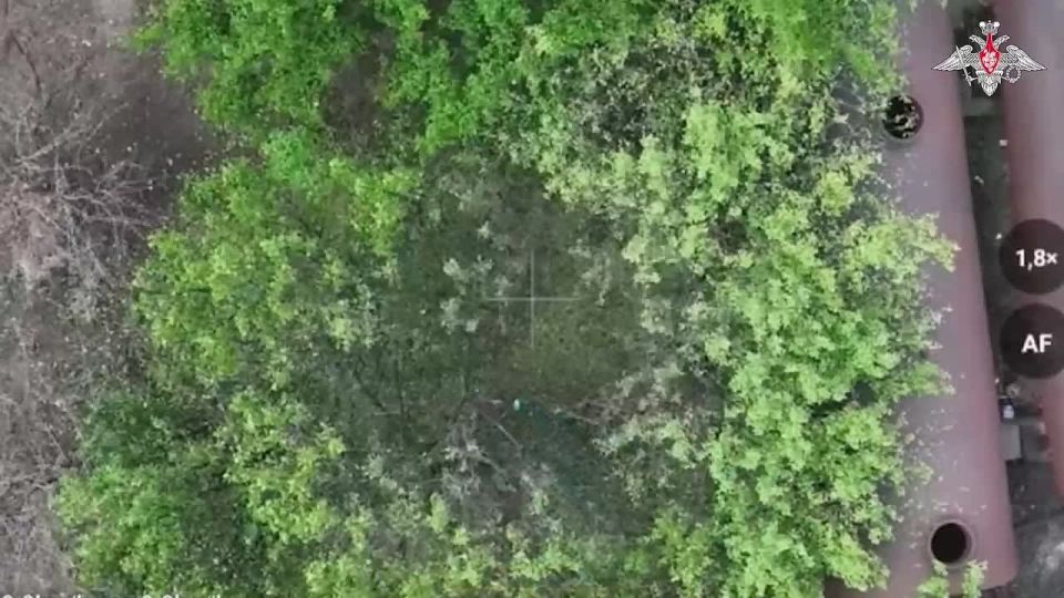 ���������� ������: ��������� ������������� ������� ���� �������