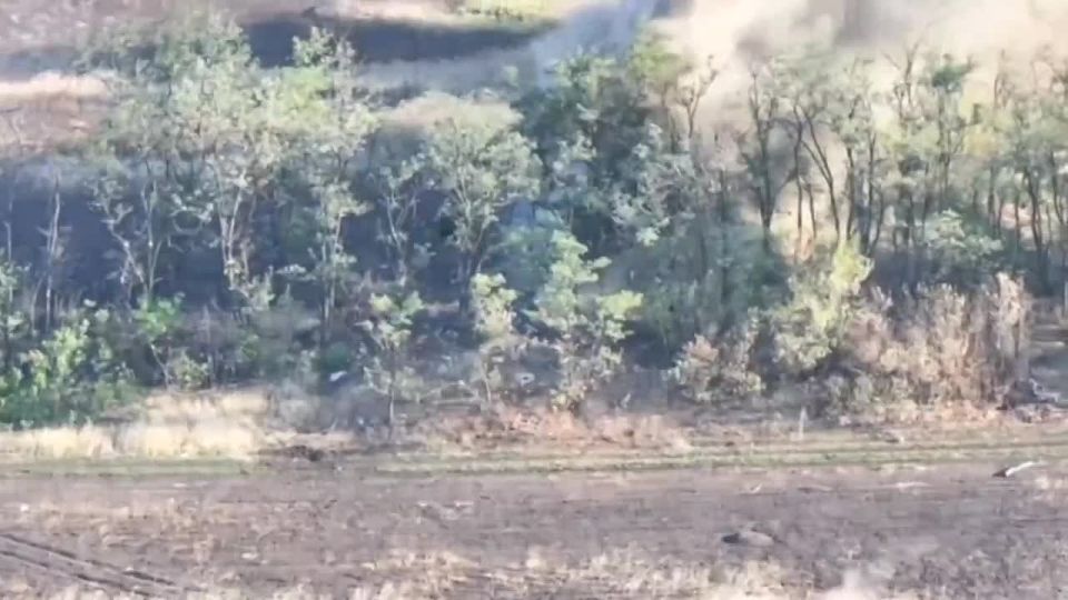 ������� ���������: �������������� ������� ����������� ����� "������" ������� ������� ��������� �� ���������� �������� ��� � ������ ���������� � ���������������� �������