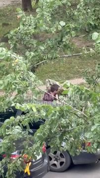 Видео силовой мобилизации в Харькове и Киеве