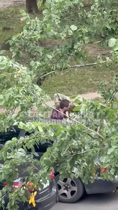 Видео силовой мобилизации в Харькове и Киеве