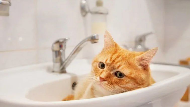 В Днепропетровске сегодня утром, 19 сентября, проблемы с водой в Чечеловском и Новокодацком районах