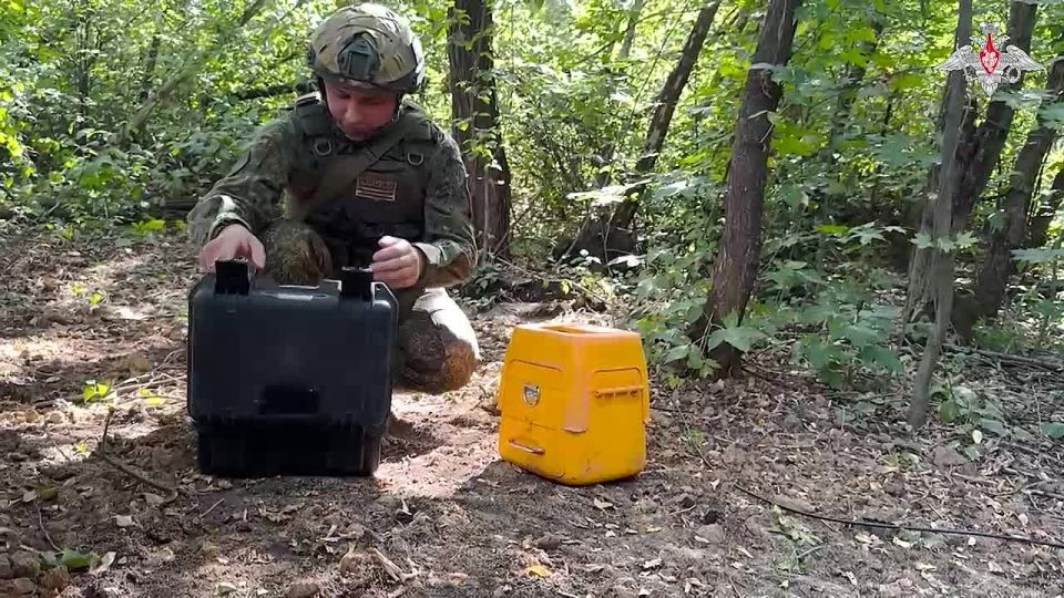 ���������� ������: �������������� ������� ���������� ����������� ����� ������� ������������ ����������� FPV-������� ���������� ����� ����� � ���������������� �������