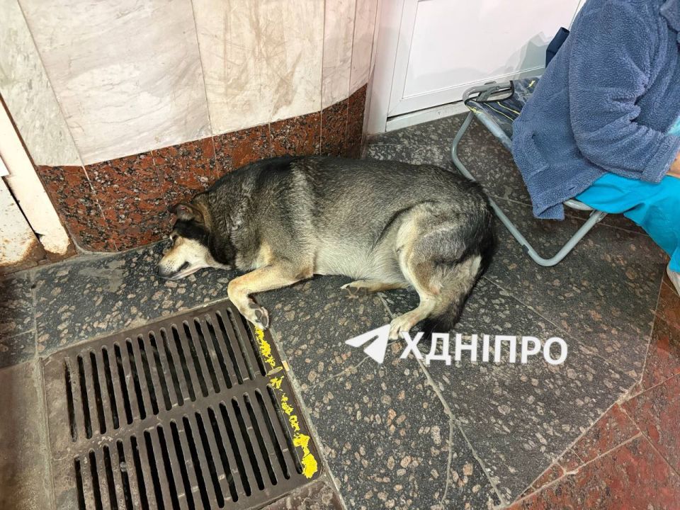 В Днепропетровске местные жители расставили палатки в метро для ночёвки В Днепропетровске местные жители расставили палатки в метро для ночёвки