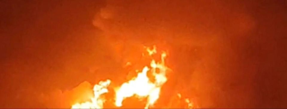 WarGonzo: �� �� ������� ������������ ����� �� ������� �������������� �������