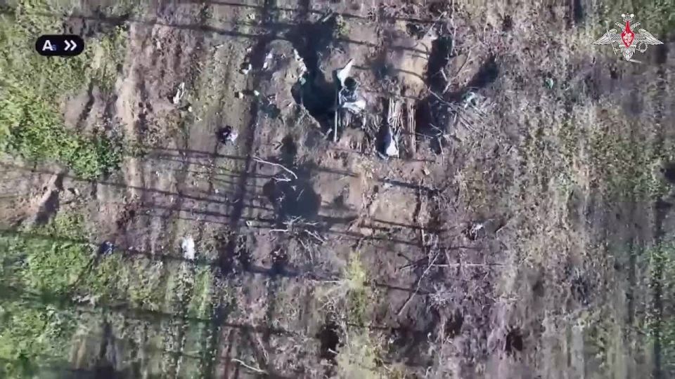 ���������� ������: ������ ������ �������� ����