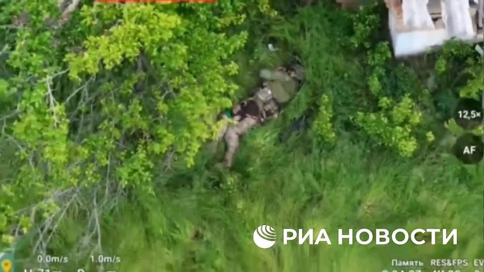 Бойцы 5-й роты 392-го полка 19-й дивизии группировки "Днепр" застали врасплох спецназ ГУР в населенном пункте Малые Шербаки, воспользовавшись наглостью противника, рассказал РИА Новости боец с позывным "Увар"