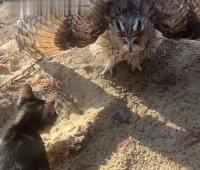 �� ������� ����������������� ����������� � ���� ��� � ������������������� ����������� �����