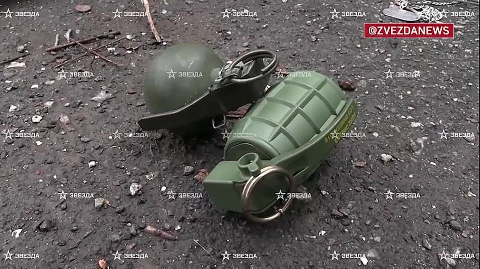 Более сотни украинских боевиков, включая иностранных наемников, уничтожили штурмовики в Березовом в Днепропетровской области