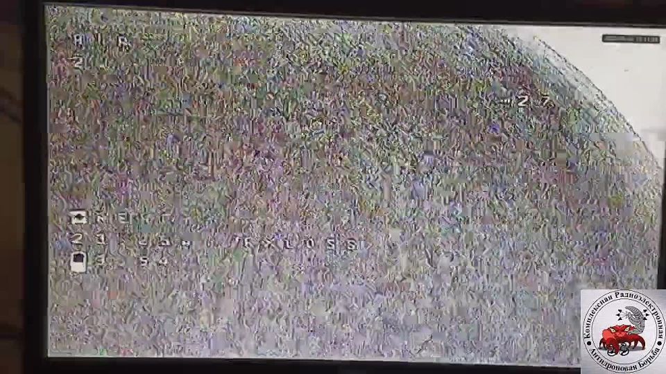 Редкая птица перелетит середину Днепра