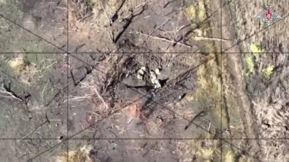 ���������� ������: ������ ����� ����� �������