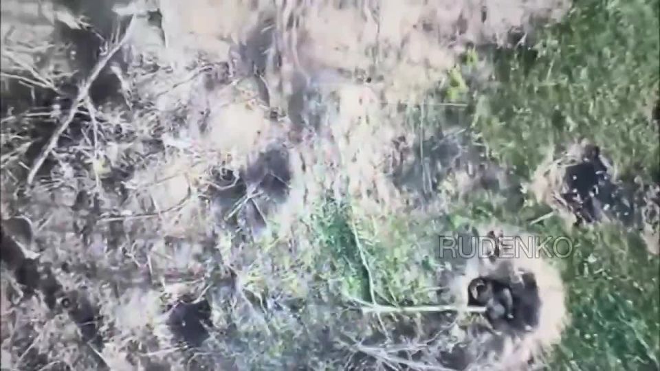 ������ �������: ��������� ���� 29-� ����� ����������� ������� ���������� ������������� ��� � ���������������� �������