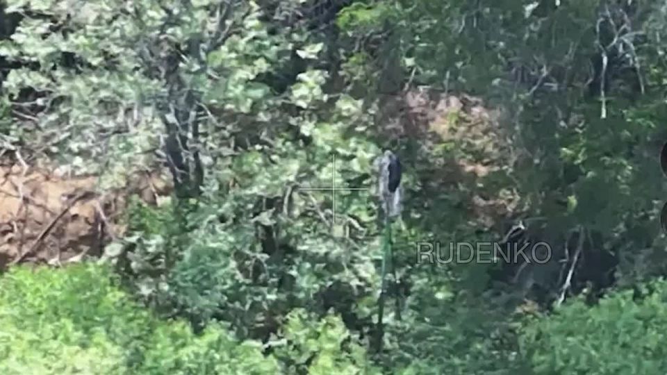 ������ �������: ���������� ����������� ������� ���������� ������ ���������� ���� � �������� � ���������������� �������, ������ � ������� �������� ������� � ��������������� ��������� ������ � ������ ����������