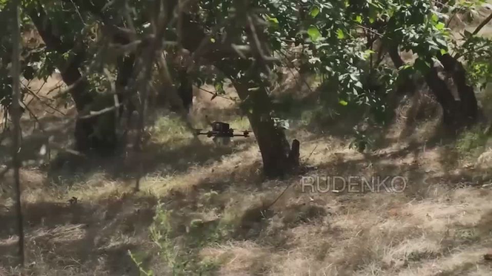 ������ �������: �� ���������� ����������� � ����������� ������� ��������� FPV-������ ����������� 58-� ������������� ����� ����������� ����� ������ ���������� �������� ������������ ���� ���, ������������ ������� �������� �...