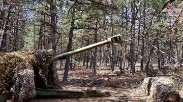 В Запорожской области расчет орудия Д-30 группировки войск «Днепр» уничтожил блиндаж с личным составом ВСУ, а расчеты артиллерии группировки войск «Восток» – пункты управления БПЛА противника