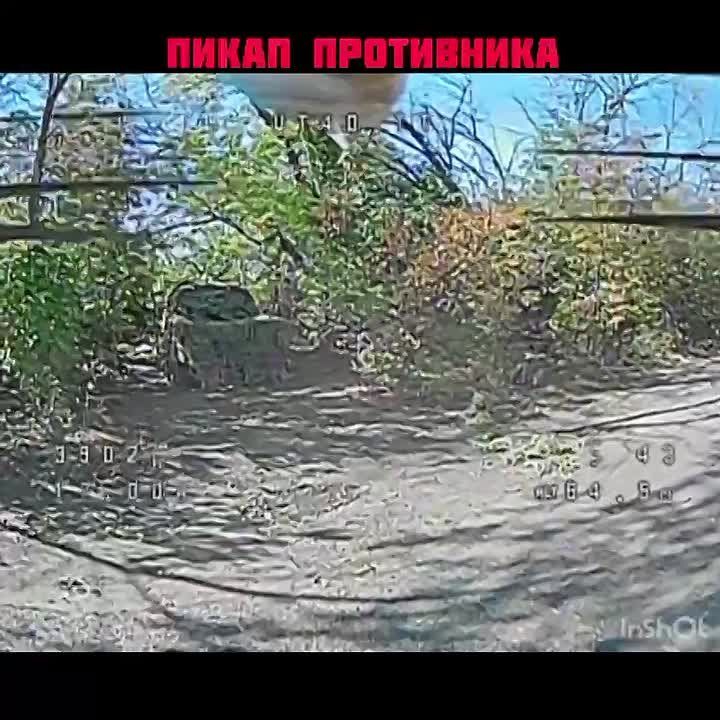 ��������� ���: ����� ���� � ������ ��� �����